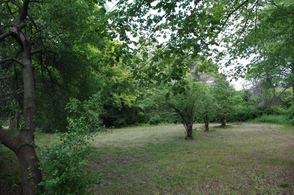 Chateau Le Vergel Authenac Ginestas 部屋 写真