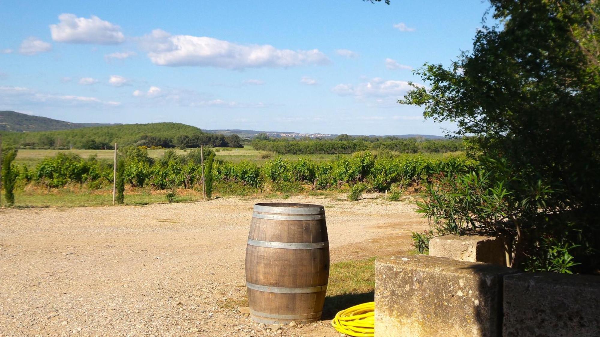 Chateau Le Vergel Authenac Ginestas 部屋 写真